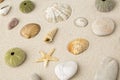 Sea shells and star fish Royalty Free Stock Photo