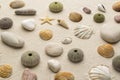 Sea shells and star fish Royalty Free Stock Photo