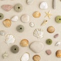 Sea shells and star fish Royalty Free Stock Photo