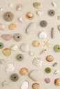 Sea shells and star fish Royalty Free Stock Photo