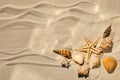 Sea shells and starfich on sand as background. Top view. Background for product Royalty Free Stock Photo