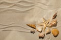 Sea shells and starfich on sand as background. Top view. Background for product Royalty Free Stock Photo