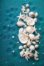 Sea shells and starfich on sand as background. Top view. Background for product presentation Royalty Free Stock Photo