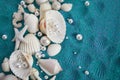Sea shells and starfich on sand as background. Top view. Background for product presentation Royalty Free Stock Photo