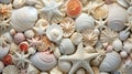 sea shells and starfish background