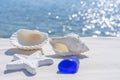 Sea shells, starfish and blue stone on a white sand and blue water background, space for text. Summer beach. Seashell on Royalty Free Stock Photo