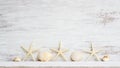 Sea shells and starfish on grunge white wooden background. Abstract background concept for Summer time holiday vacation. Abstract Royalty Free Stock Photo