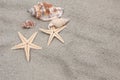 Sea shells and starfish on the sand Royalty Free Stock Photo