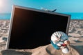 Sea shells. Starfish, seashells, toy plane and globe near blackboard on ocean nature beach. Tranquil beach scene with