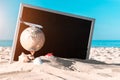 Sea shells. Starfish, seashells, toy plane and globe near blackboard on ocean nature beach. Tranquil beach scene with