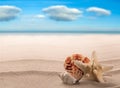 Sea shells and starfish on a white beach of a tropical paradise island