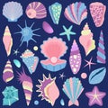 Sea Shells and Starfishes Collection Set Royalty Free Stock Photo