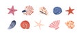Sea shells, starfishes set. Underwater mollusk animals. Marine molluscs seashells, scallops, snails, cockleshells