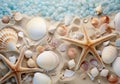 a mixture of shells and starfish on the beach Royalty Free Stock Photo