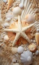 a mixture of shells and a starfish on top Royalty Free Stock Photo