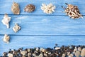 Sea shells and stones on a blue wooden background stones Royalty Free Stock Photo