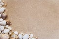Sea shells and stones with sand as background Royalty Free Stock Photo