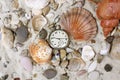 Sea Shells and vintage clock on sand Royalty Free Stock Photo