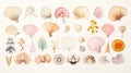 Sealife Installation Art: Shells In Collage-style Paintings Royalty Free Stock Photo