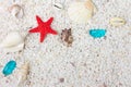 Sea shells with white sand as background