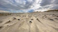 Sea shells on wind swept beach