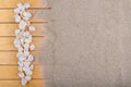 Sea shells on a wooden pier and beach sand. Empty shells of sea snails on the sand Royalty Free Stock Photo