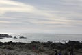 Sea Shore along China Rock, 17 Mile Drive, California, USA