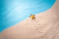 Sea shore, a bug crawls to the water, a card for a travel agency, sand shell, blue ocean, sun vacation Royalty Free Stock Photo