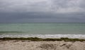 Sea shore with sand beach, seaweed and dark blue sky. Ocean coast before storm. Autumn coastline. Royalty Free Stock Photo