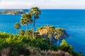 Sea shore tropical rocky beach with palm tree Royalty Free Stock Photo