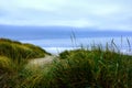 Sea Shore Wild Grass under Cloudy