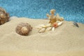 sea side inspired jewelry in the sand, with seashells and coral