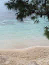 Sea side pine tree beach view Royalty Free Stock Photo