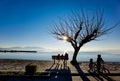 Sea sky deep blue in winter sunny day bench chairs by the beach tree in menidi near to arta city greece