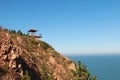 The gazebo on the coast hill