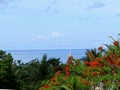 Sea and yacht on the background of tropical vegetation