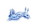 Sea slug watercolor painted image. Hand drawn tropical coral reef mollusk. Blue underwater ocean slug isolated on white background