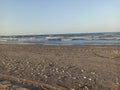 sea snails and corel reefs on beach