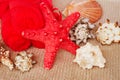 Sea spa setting with red star fish Royalty Free Stock Photo