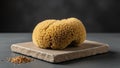 Sea sponge with a porous texture positioned on a rectangular stone Royalty Free Stock Photo