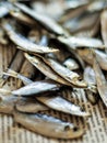Sea sprat small fish close up on a newspaper, selective focus. Royalty Free Stock Photo