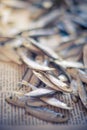 Sea sprat small fish close up on a newspaper, selective focus. Royalty Free Stock Photo
