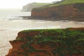 Sea stack in Ladram Bay