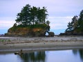 Sea stack near Sequim, WA Royalty Free Stock Photo