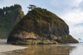 Sea stack rock formation topped with green vegetation and a gnarled pine tree and high, forested cliffs above a sandy beach Royalty Free Stock Photo