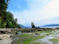 Sea stacks on the beaches of the West coast Trail, Vancouver is