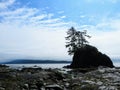 Sea stacks on the beaches of the West coast Trail, Vancouver is Royalty Free Stock Photo