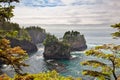 Sea Stacks off of Cape Flattery, Makah Reservation, Olympic National Park, Washington, USA Royalty Free Stock Photo