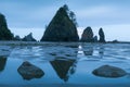 Sea stacks and reflections on sandy beach. Shoreline of Pacific Ocean. Olympic Peninsula. Shi Shi Beach, Washington state USA. Royalty Free Stock Photo