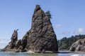 Sea Stacks at Rialto Beach Royalty Free Stock Photo